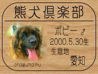 �{�r�}�~�������HP��GO!